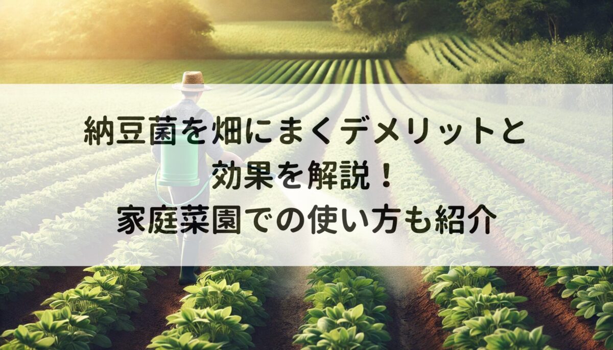 納豆菌を畑にまくデメリットと効果を解説