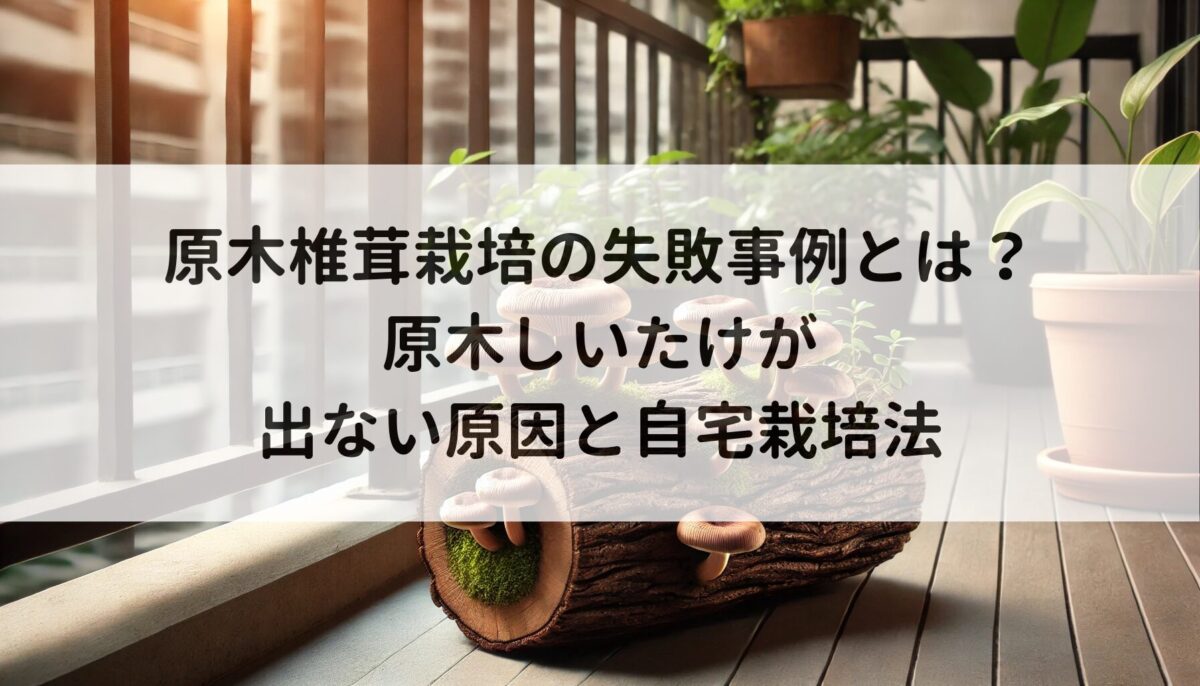 原木椎茸栽培の失敗事例とは？