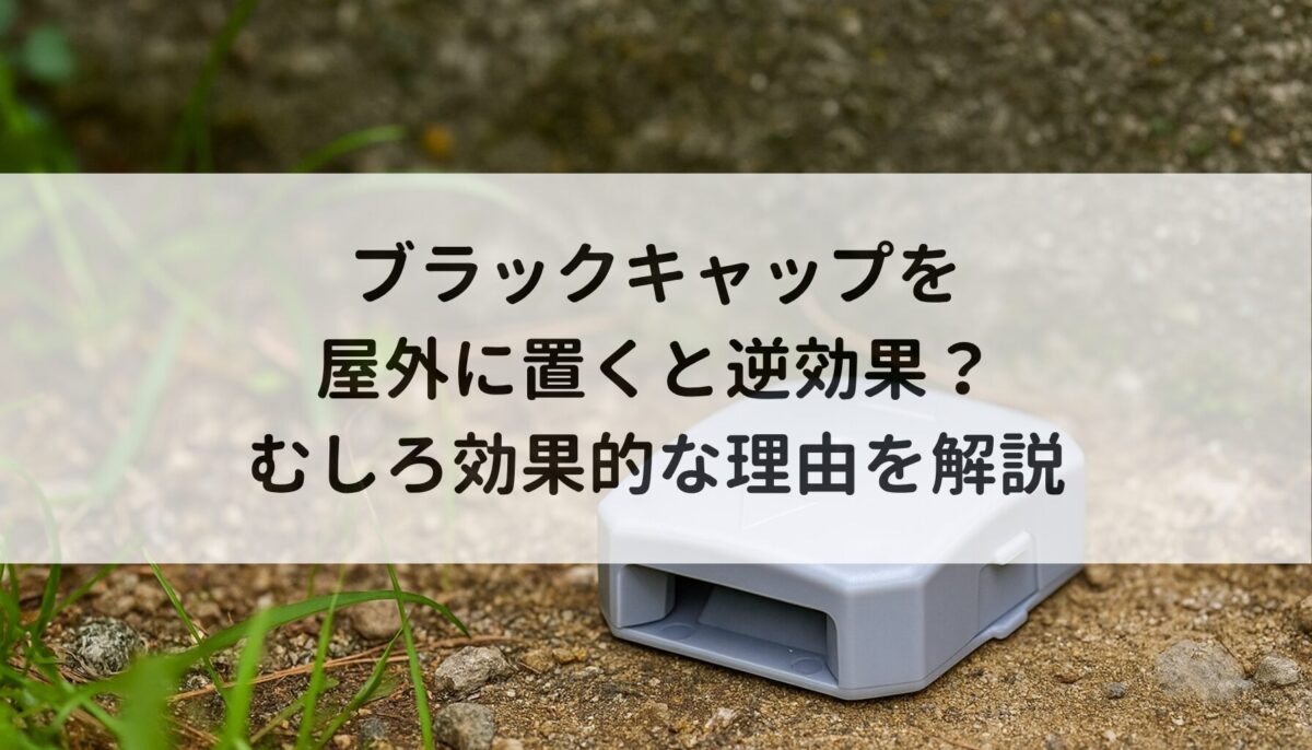 ブラックキャップを屋外に置くと逆効果？むしろ効果的な理由を解説