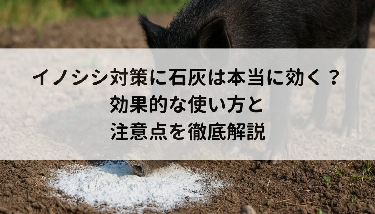 イノシシ対策に石灰は本当に効く？効果的な使い方と注意点を徹底解説