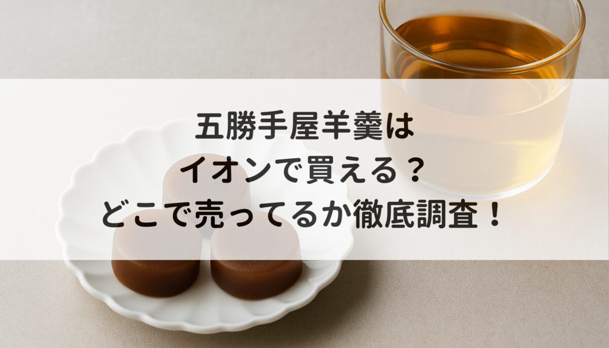 五勝手屋羊羹はイオンで買える?どこで売ってるか徹底調査!