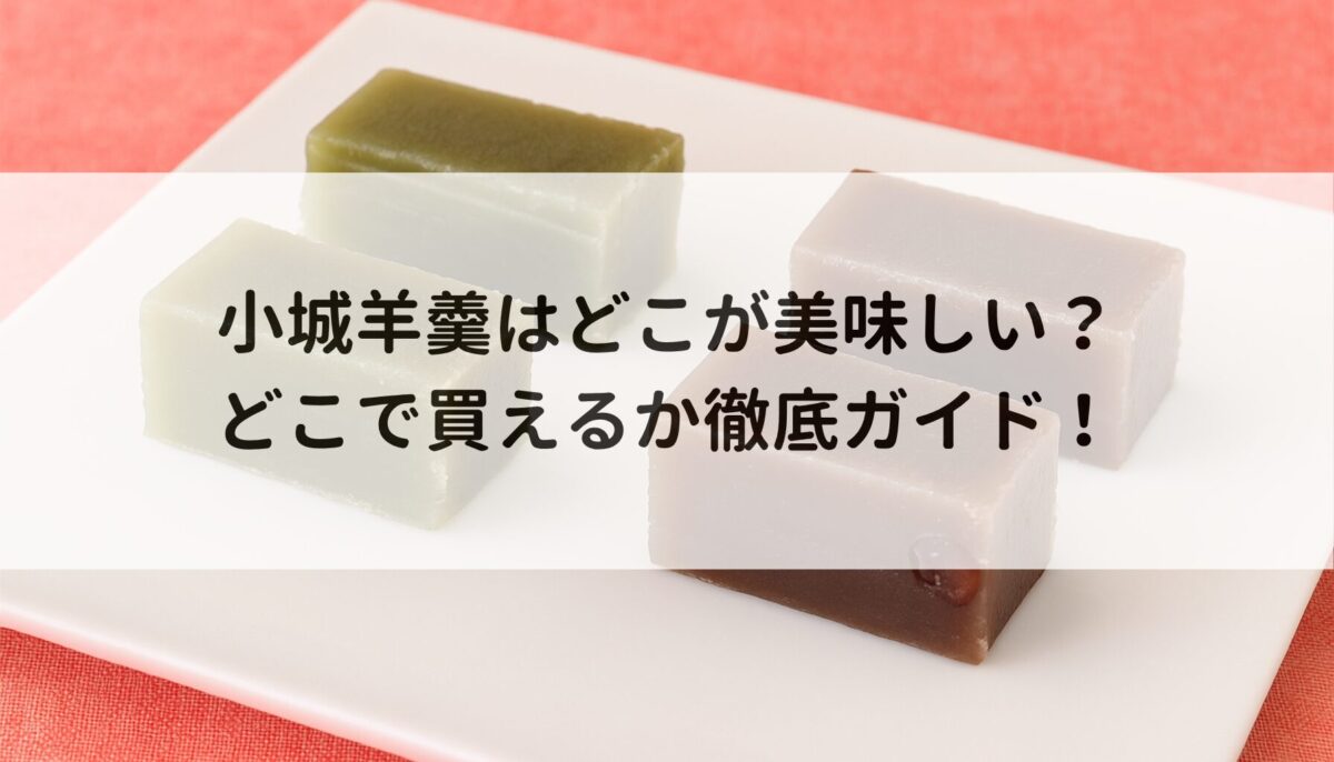 小城羊羹はどこが美味しい?どこで買えるか徹底ガイド!
